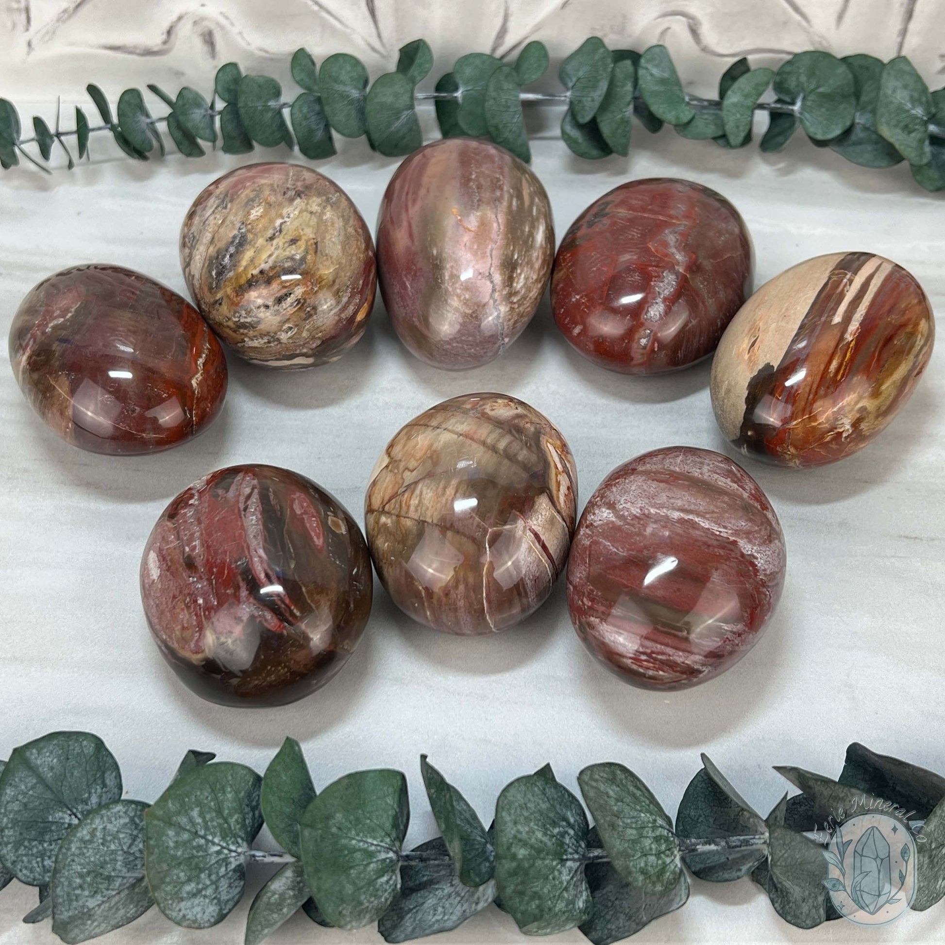 Polished Petrified Wood Palm Stones