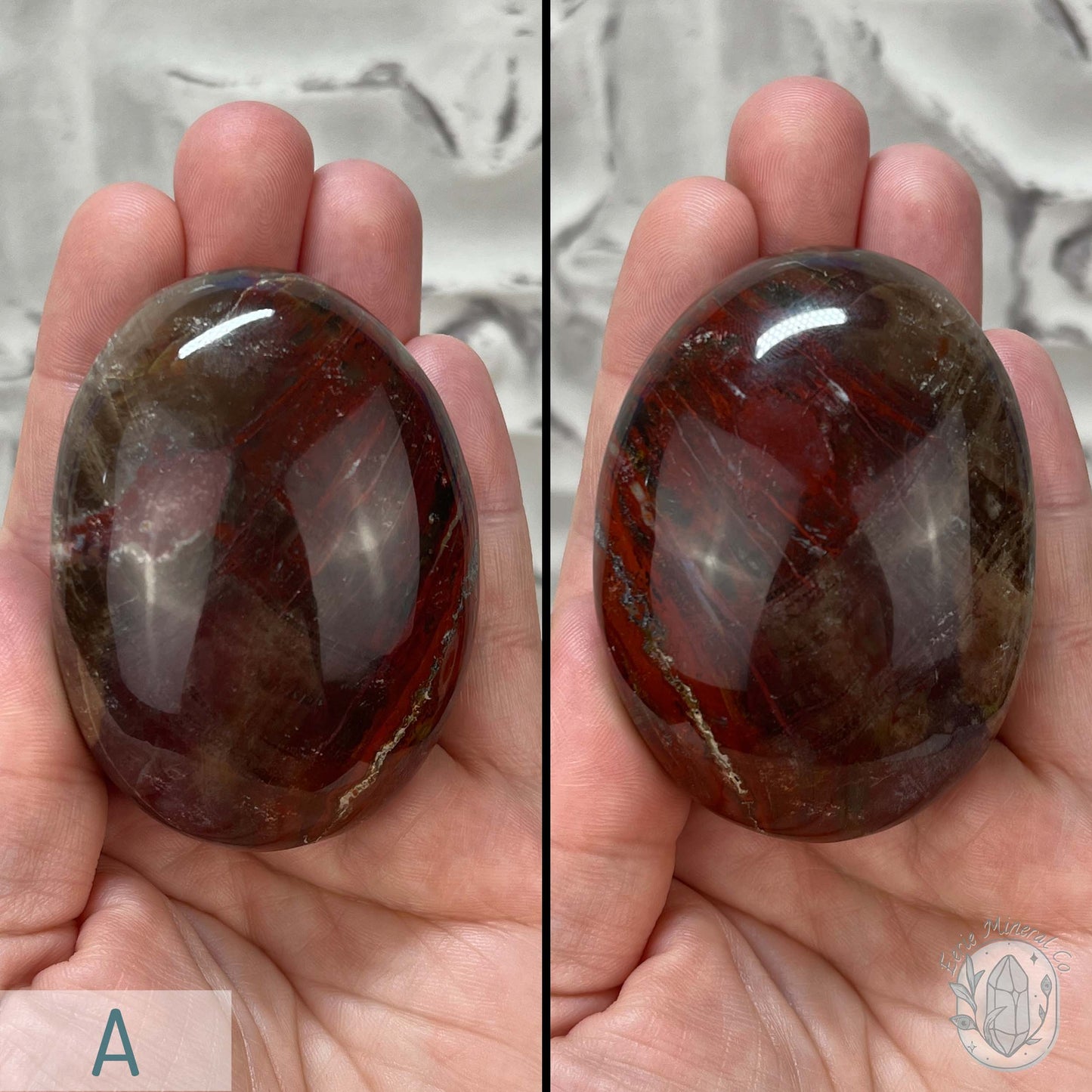 Polished Petrified Wood Palm Stones