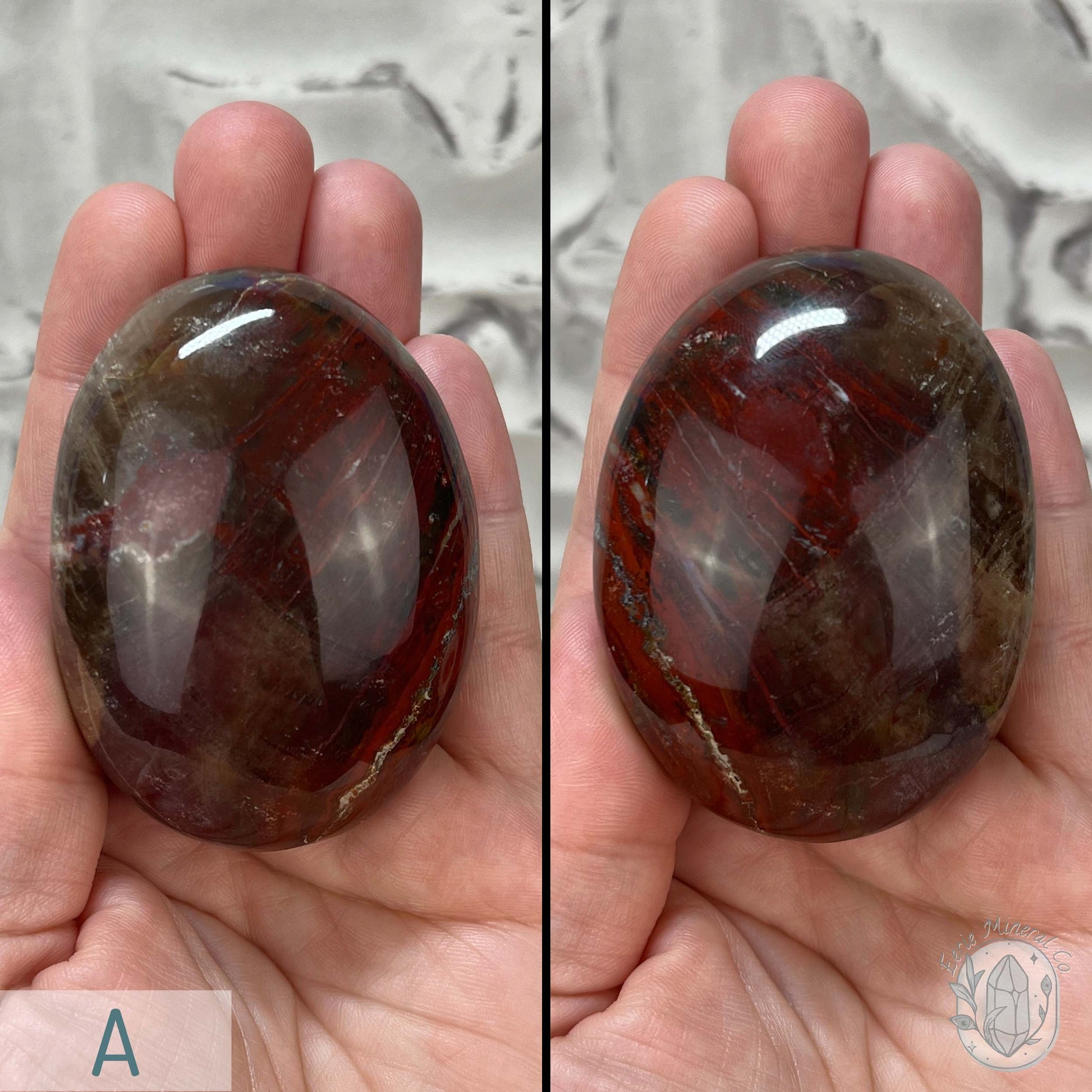 Polished Petrified Wood Palm Stones