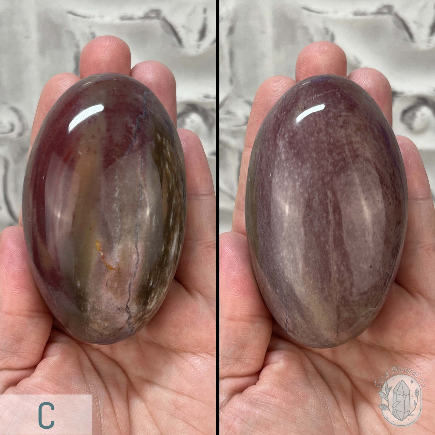Polished Petrified Wood Palm Stones