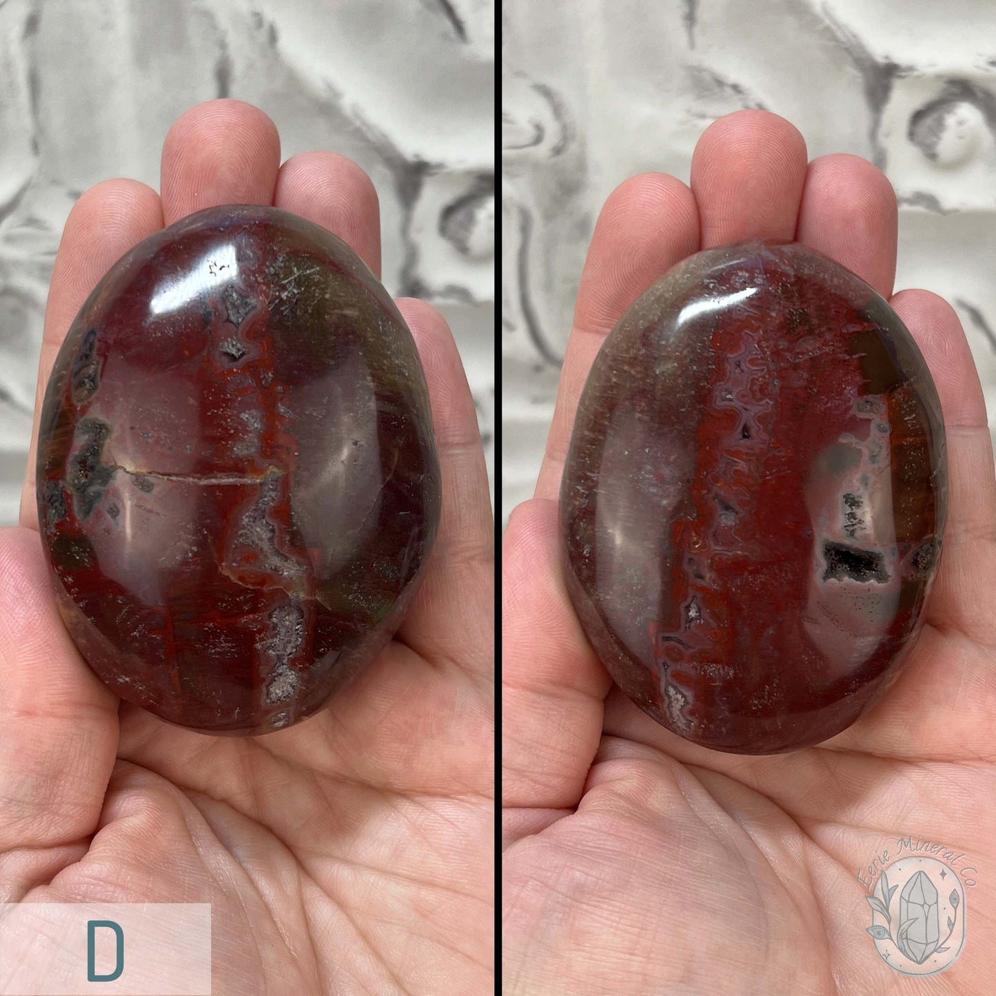 Polished Petrified Wood Palm Stones