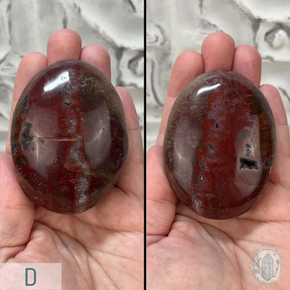 Polished Petrified Wood Palm Stones