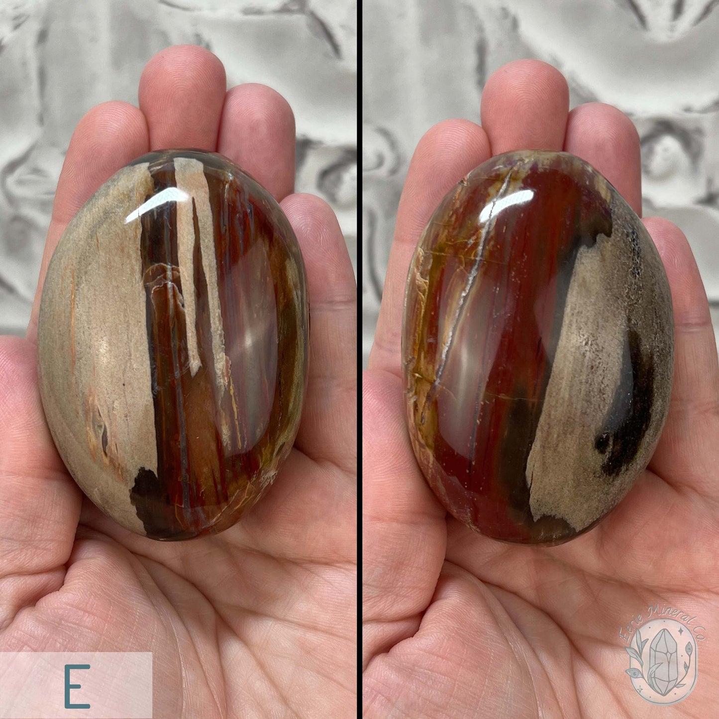 Polished Petrified Wood Palm Stones