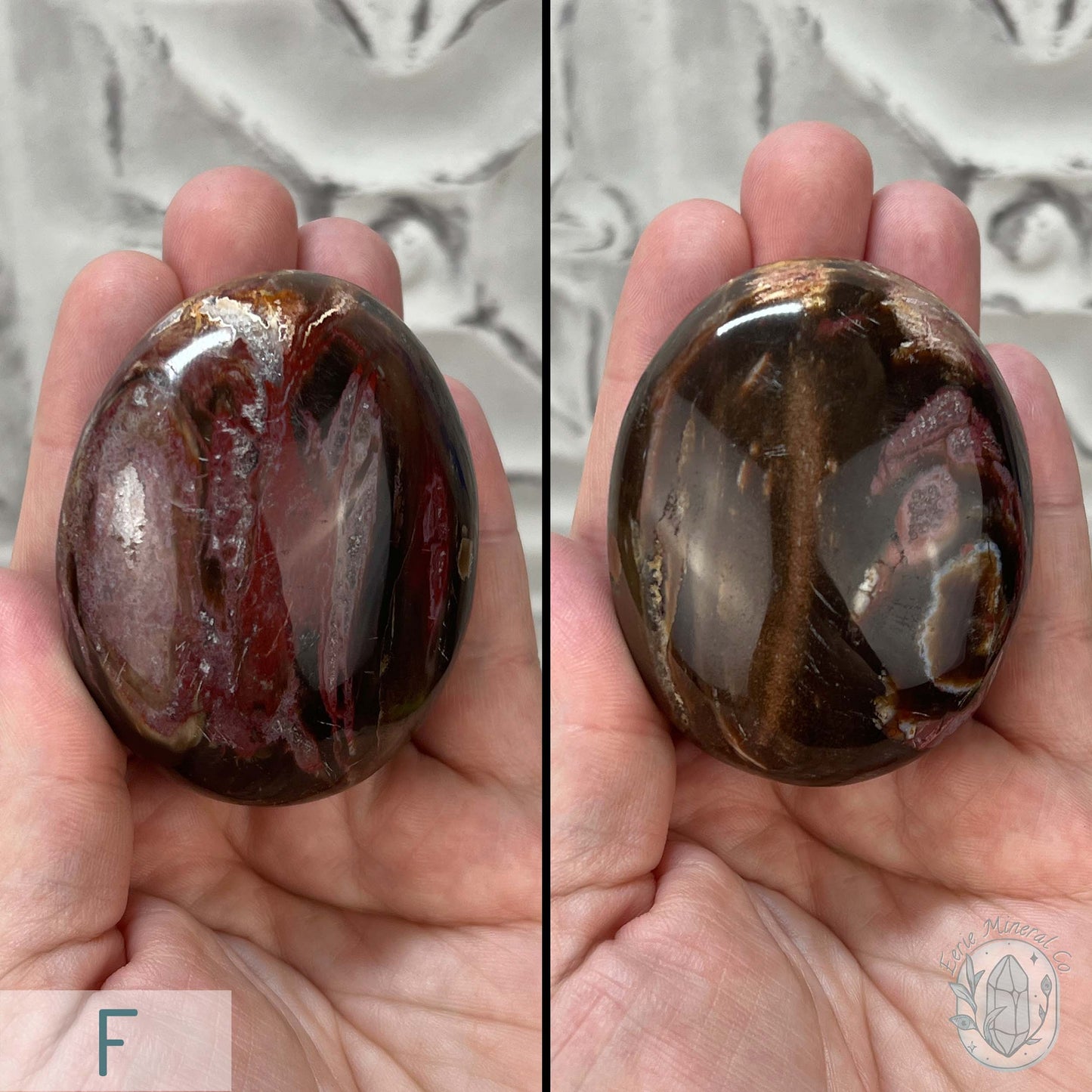 Polished Petrified Wood Palm Stones