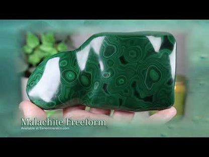 Polished Natural Malachite Freeform with Display Stand