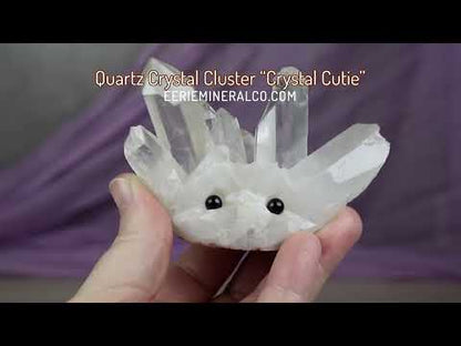 Clear Quartz Crystal Cluster "Crystal Cutie"