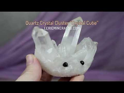 Clear Quartz Crystal Cluster "Crystal Cutie"
