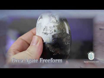 Polished Black & White Orca Agate Freeform Carving