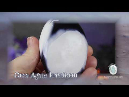 Polished Black & White Orca Agate Freeform Carving