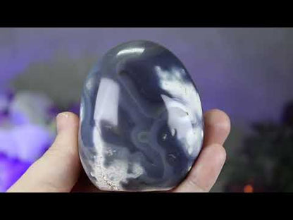 Polished Black & White Orca Agate Freeform Carving