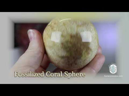 61mm Polished Agatized Coral "Jade" Sphere