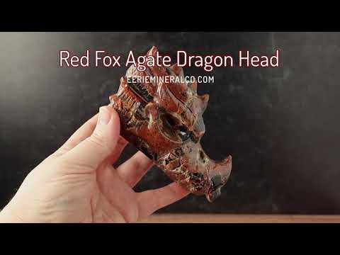 Red Fox Volcanic Agate Dragon Skull Carving