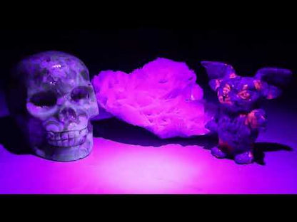 Handheld mini UV Light Kit Including Accessories