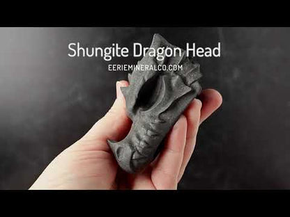 Shungite Dragon Head Carving