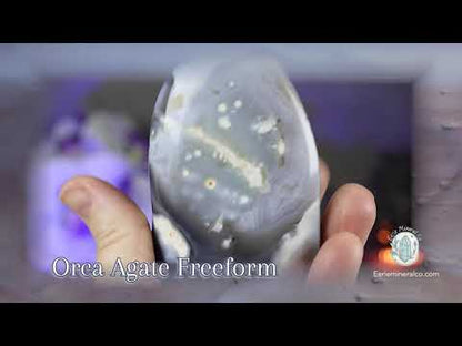 Polished Orca Agate Freeform Carving