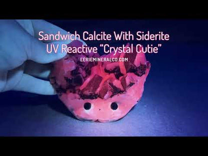 Sandwich Calcite With Siderite "Crystal Cutie"