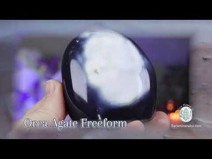 Polished Black and White Orca Agate Freeform
