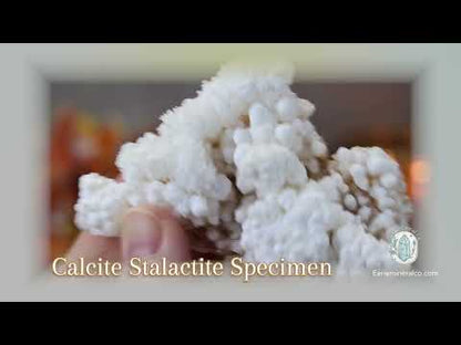 White Druzy Calcite Cave Stalactite Specimen