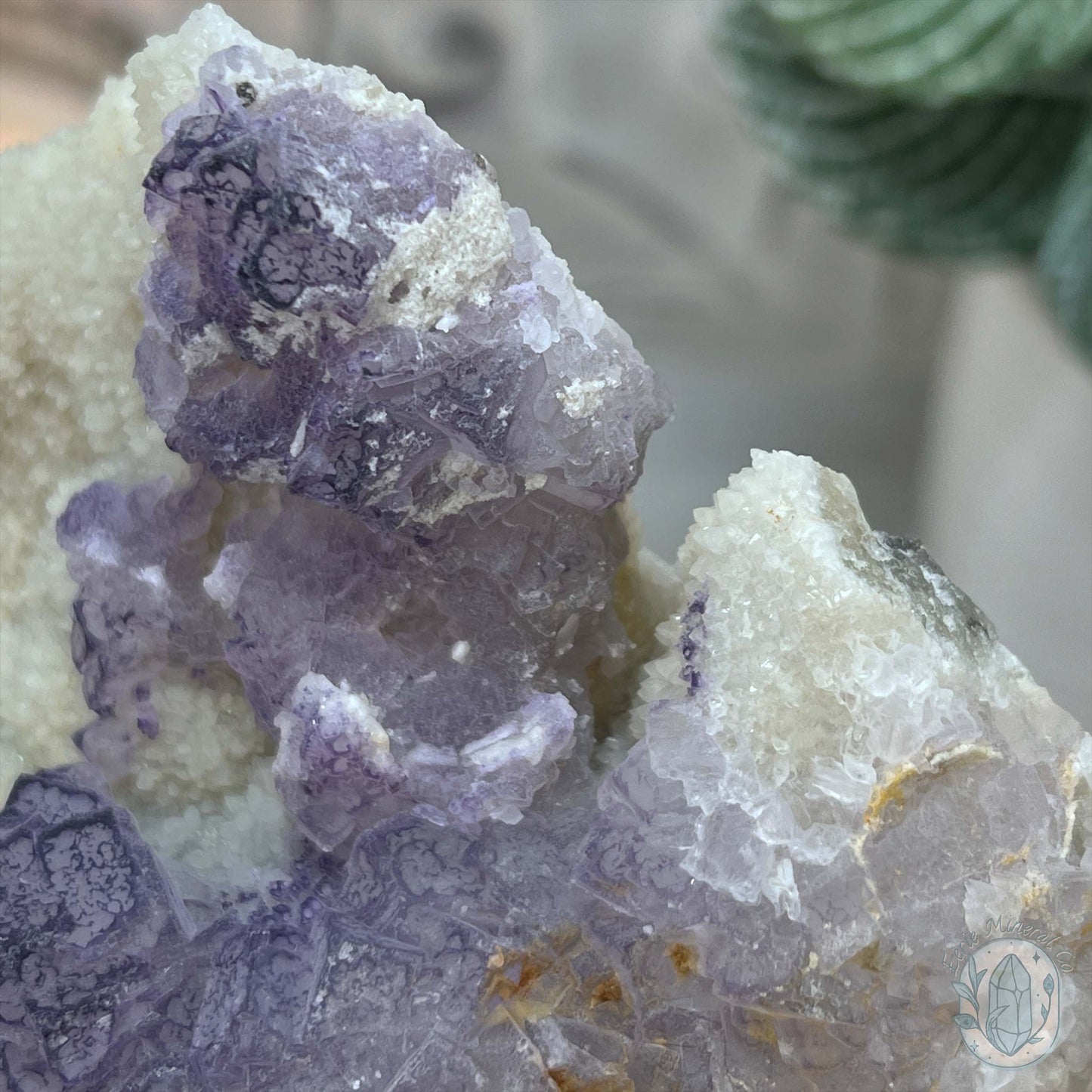 UV Reactive Purple Edge Fluorite Specimen With Stand