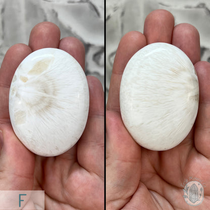 Polished Scolecite Palm Stone