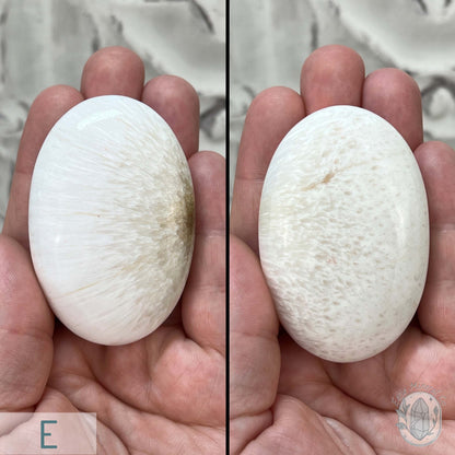 Polished Scolecite Palm Stones From India