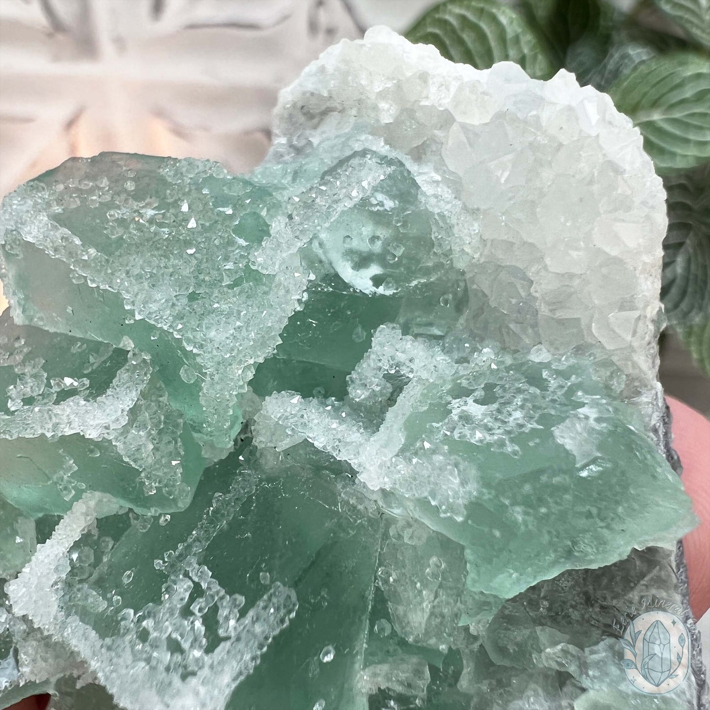 UV Reactive Green Fluorite With Druzy Quartz Specimen