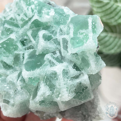 UV Reactive Green Fluorite With Druzy Quartz Specimen