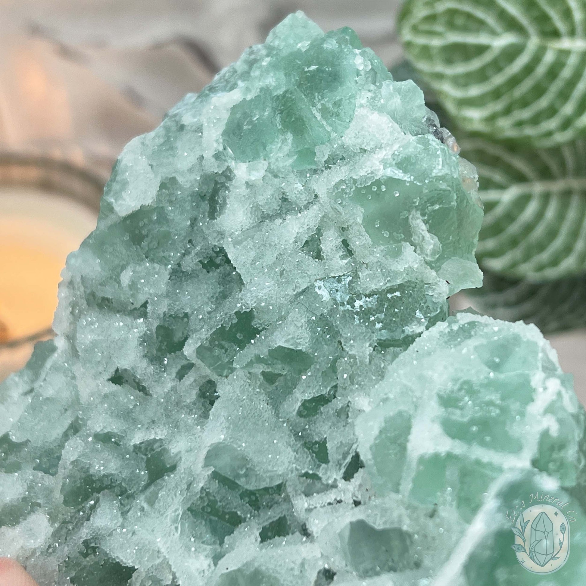 UV Reactive Green Fluorite With Druzy Quartz Specimen