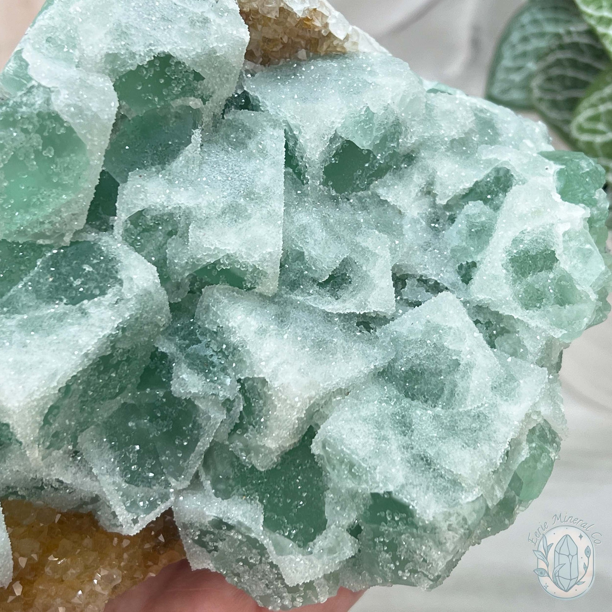 UV Reactive Green Fluorite With Druzy Quartz Specimen