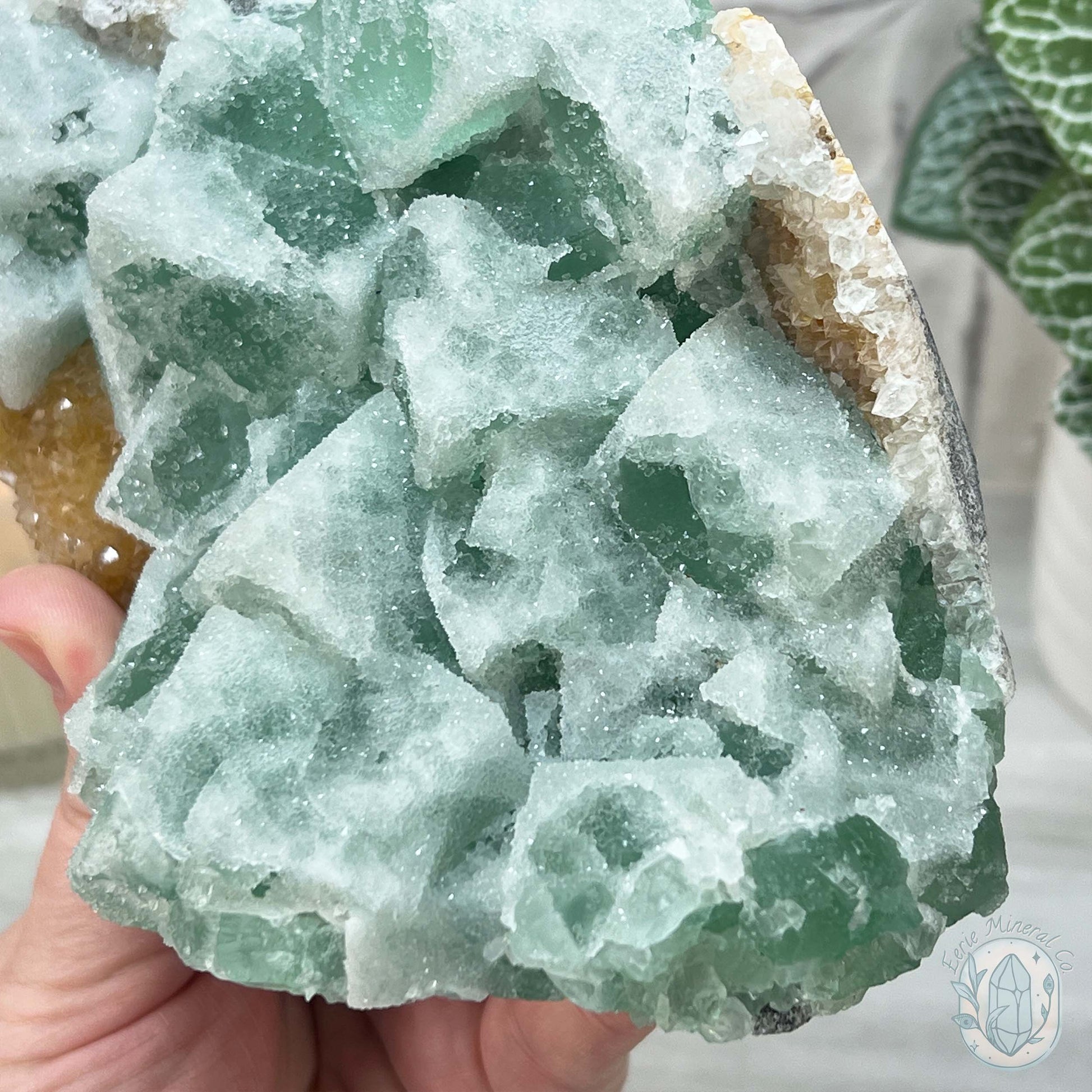 UV Reactive Green Fluorite With Druzy Quartz Specimen