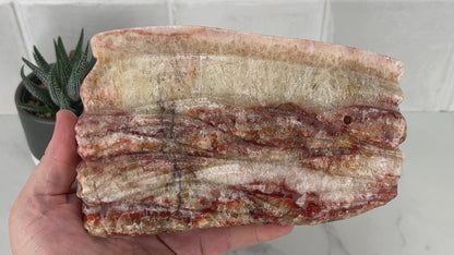 Polished Pork Stone (Red Banded Calcite) Specimen Slab