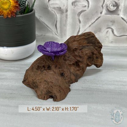 Driftwood Purple Cherry Blossom Single Sphere Holder Stands