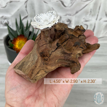 Driftwood Silver Cherry Blossom Single Sphere Holder Stands