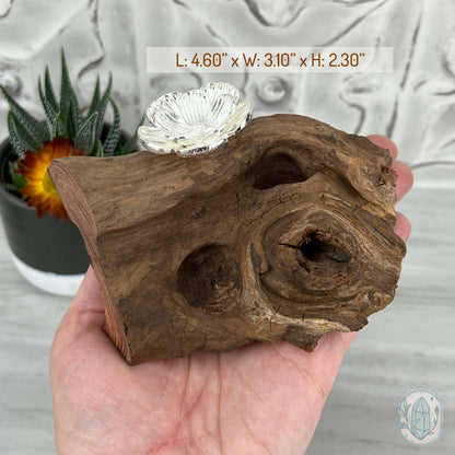 Driftwood Silver Cherry Blossom Single Sphere Holder Stands