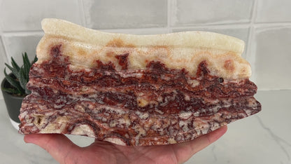Polished Pork Stone (Red Banded Calcite) Specimen Slab