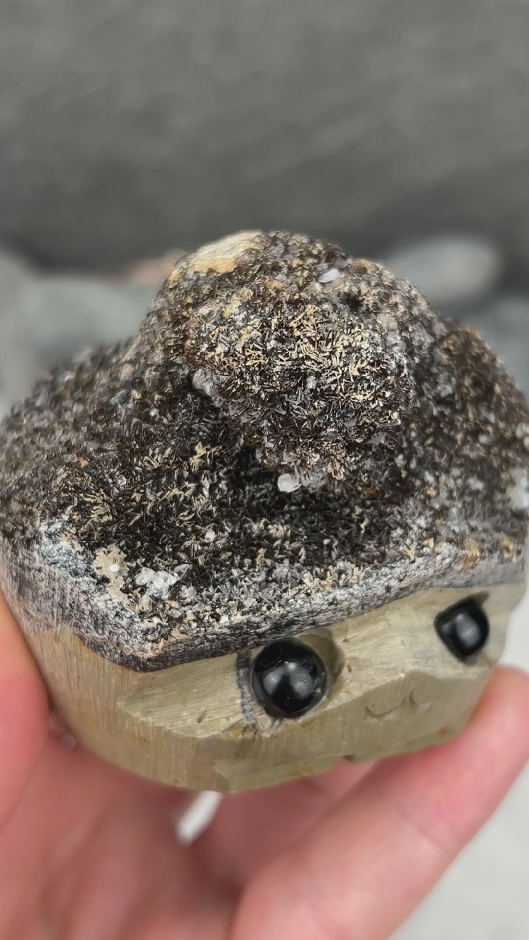 Septarian Nodule Hedgehog Carving