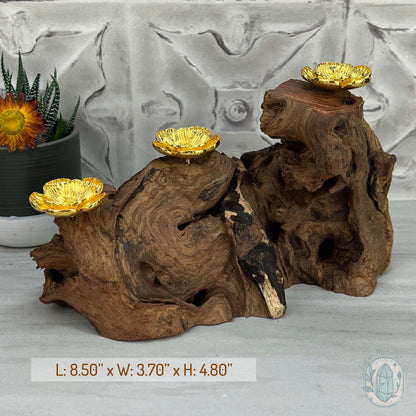 Natural Driftwood 3 Gold Cherry Blossom Sphere Holders Stand