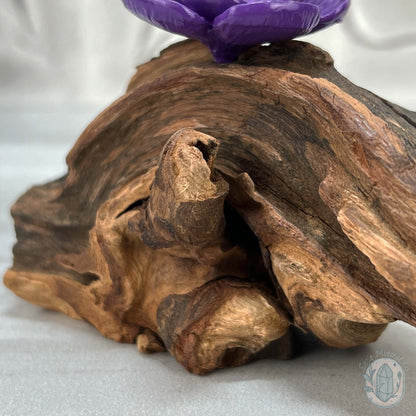 Driftwood Purple Cherry Blossom 2 Sphere Holder Stands