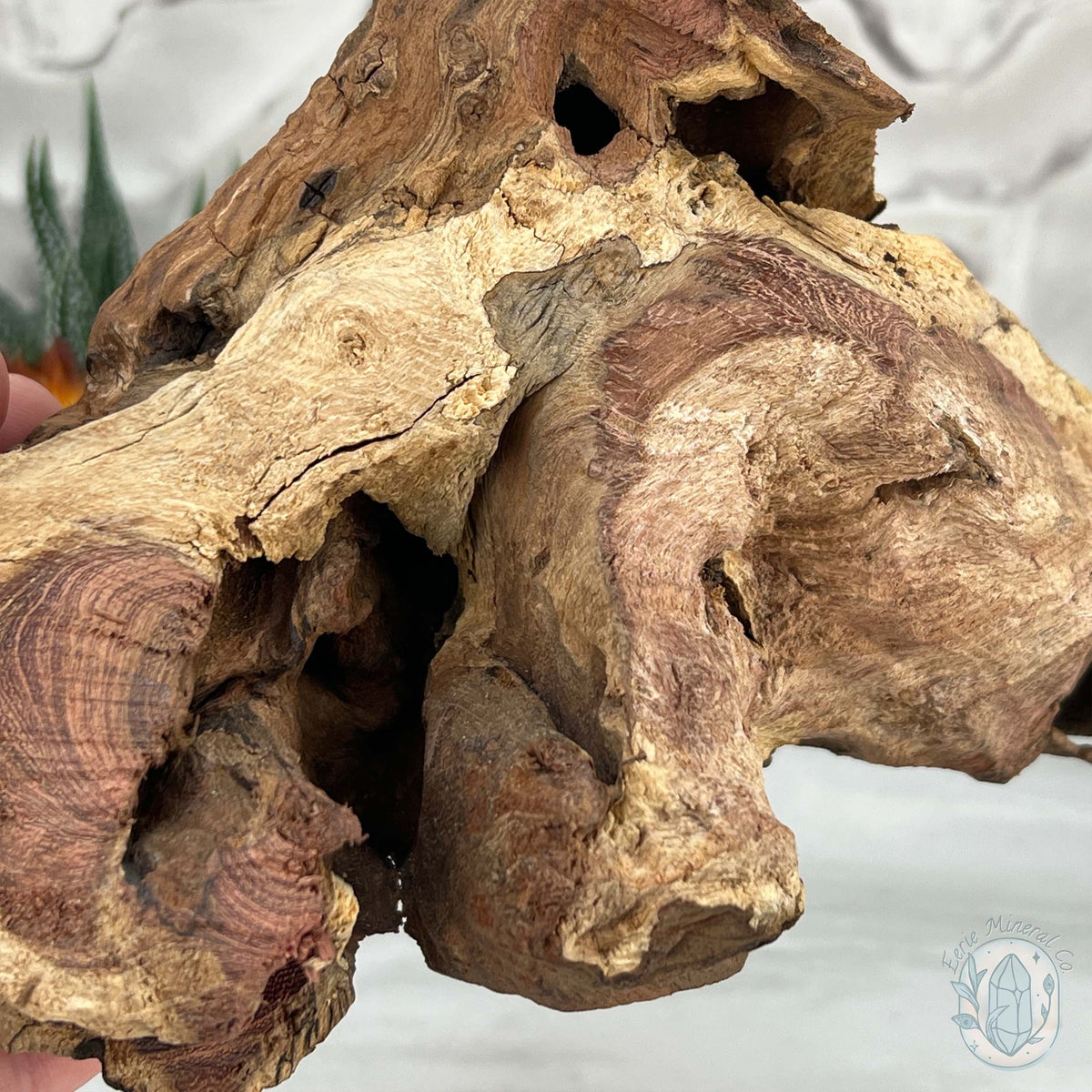 Driftwood Silver Cherry Blossom 2 Sphere Holder Stands