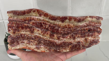 Polished Pork Stone (Red Banded Calcite) Specimen Slab