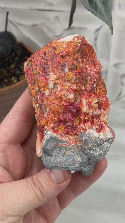 Realgar or "Ruby Sulfur" with Quartz Specimen