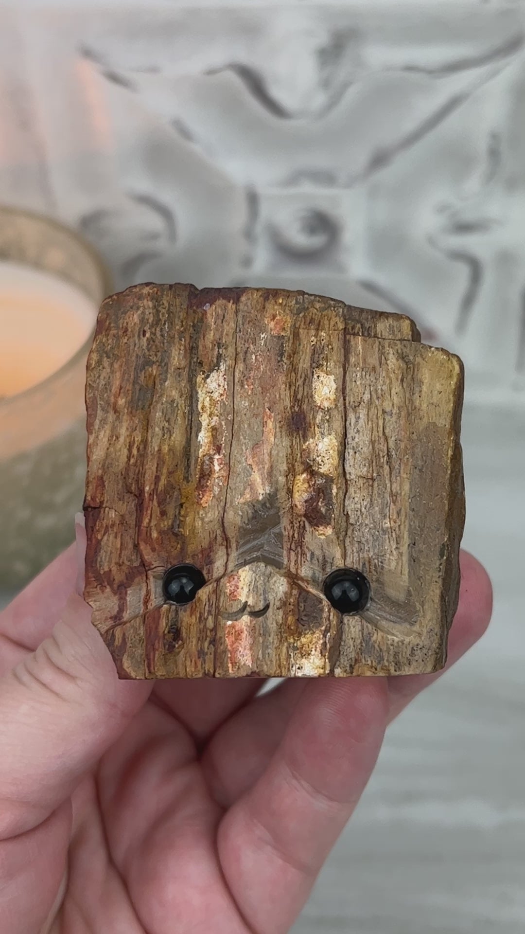 Petrified Wood Hedgehog Carving Specimen