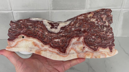 Polished Pork Stone (Red Banded Calcite) Specimen Slab