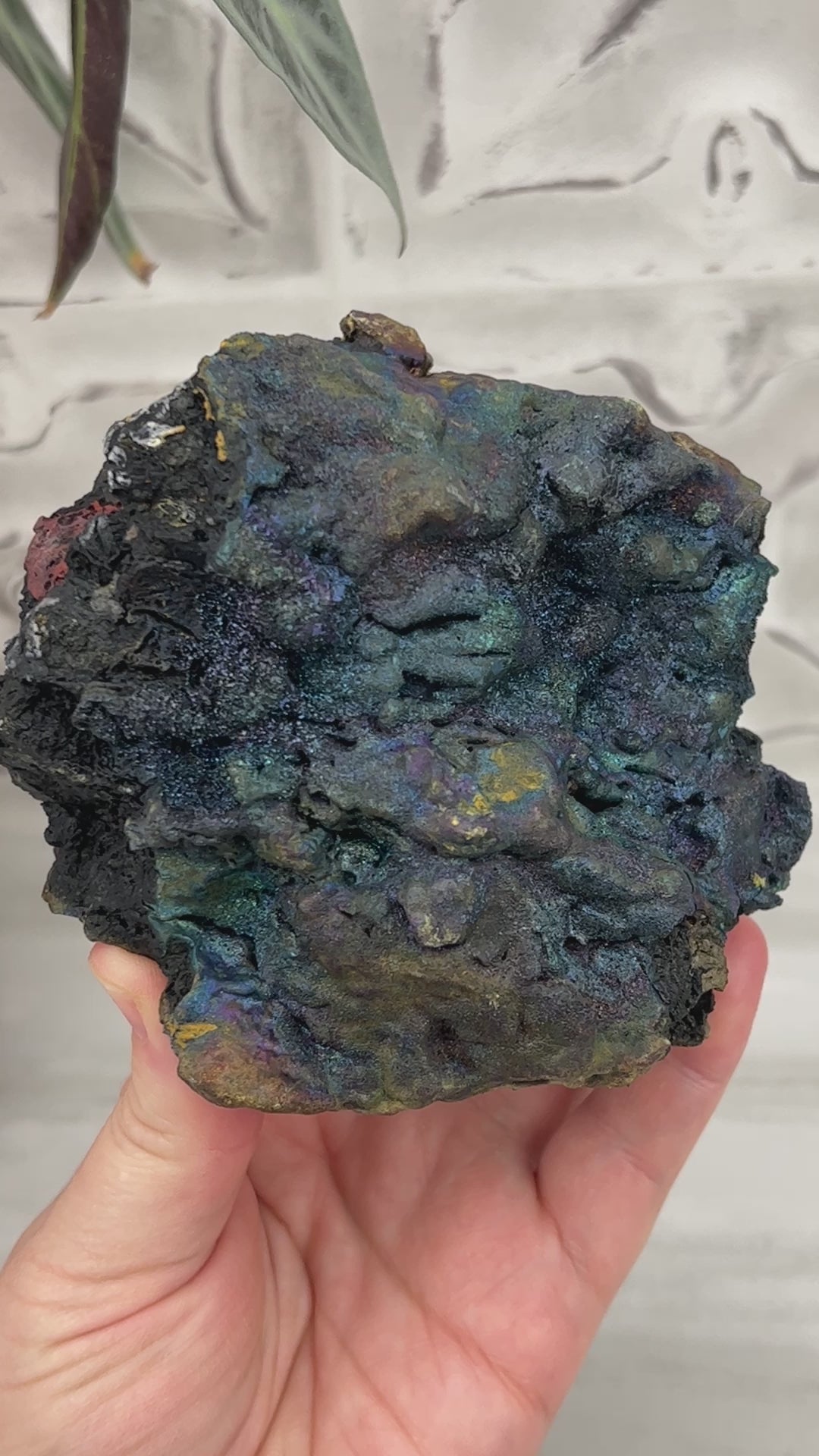 Large Peacock Ore aka Bornite Specimen
