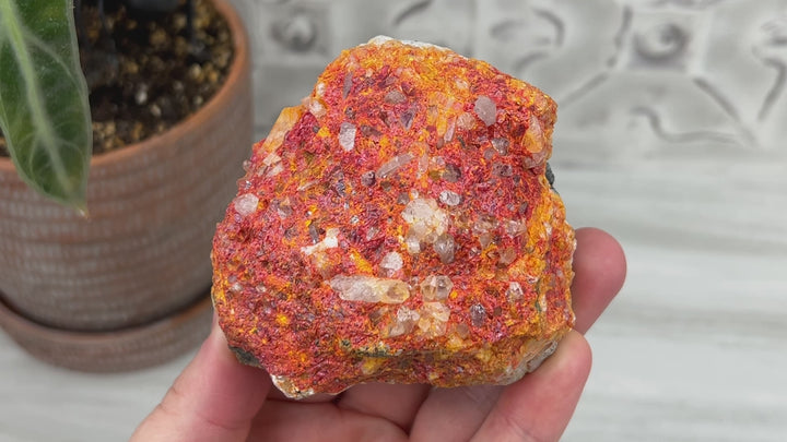 Realgar or "Ruby Sulfur" with Quartz Specimen