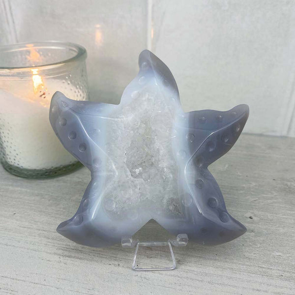 Polished Blue and White Agate Sea Star