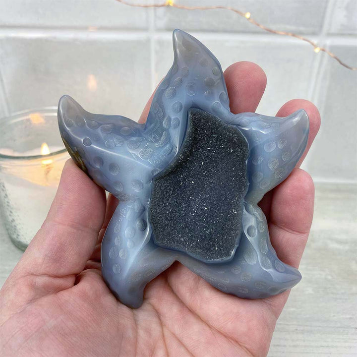 Polished Blue Druzy Agate Sea Star