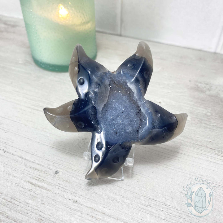 Polished Smoky Blue Druzy Agate Sea Star Carving