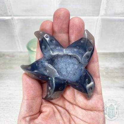 Polished Smoky Blue Druzy Agate Sea Star Carving