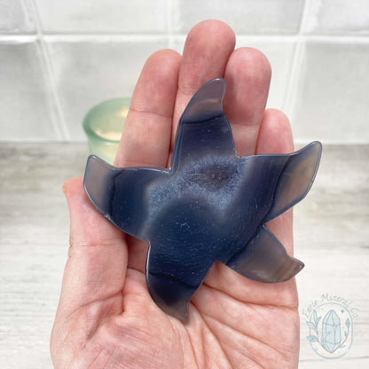 Polished Smoky Blue Druzy Agate Sea Star Carving